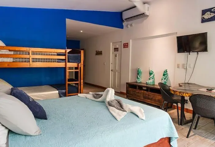 Apartment Beachfront Studio, Private Balcony With Ocean View *